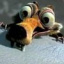 iryvusipa